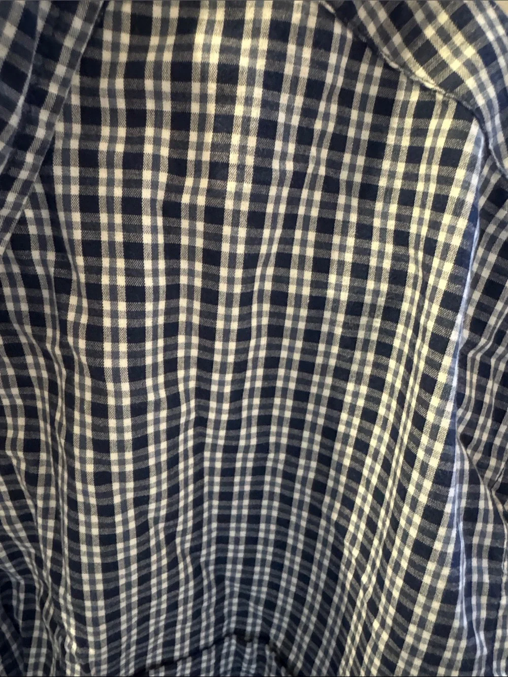 J. Crew Navy and White Gingham Button-Down Shirt